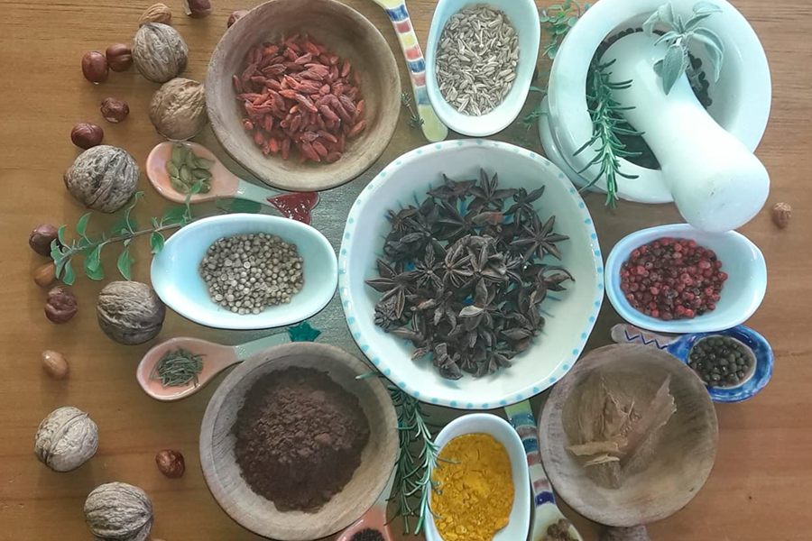 Ayurveda, Ciencia de la Vida Larga y Feliz