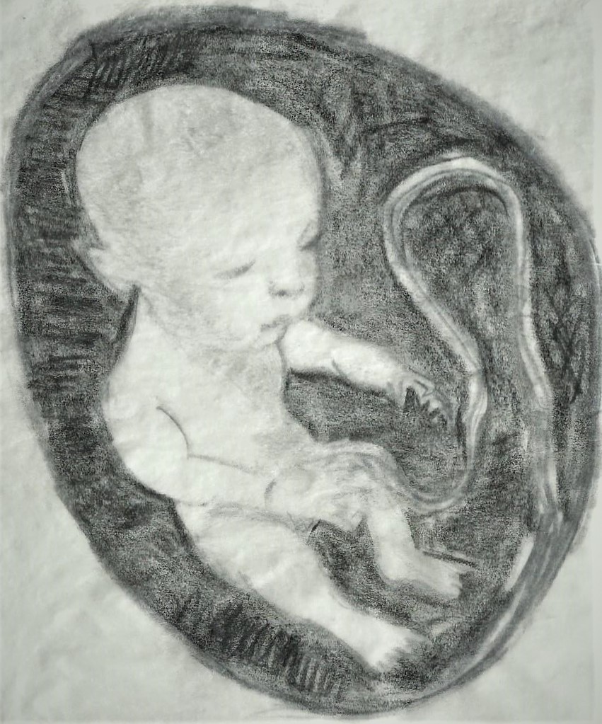 Nuestro primer espacio, la forma adaptada a los cuerpos, en perfecta armonía.