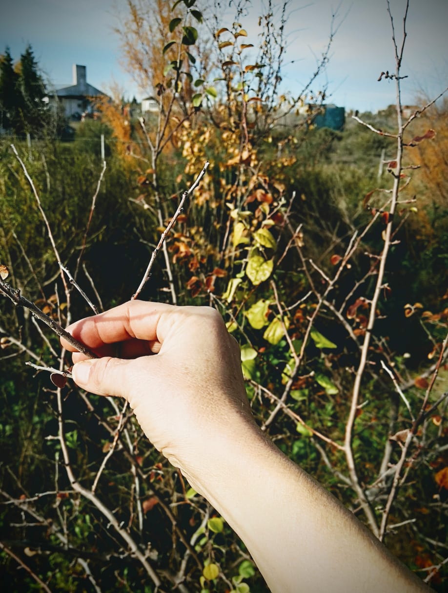 WhatsApp Image 2021-06-11 at 11.41.35 AM