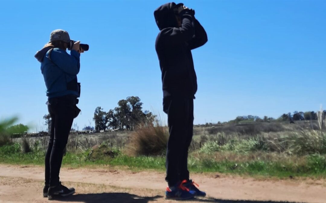 Observando aves